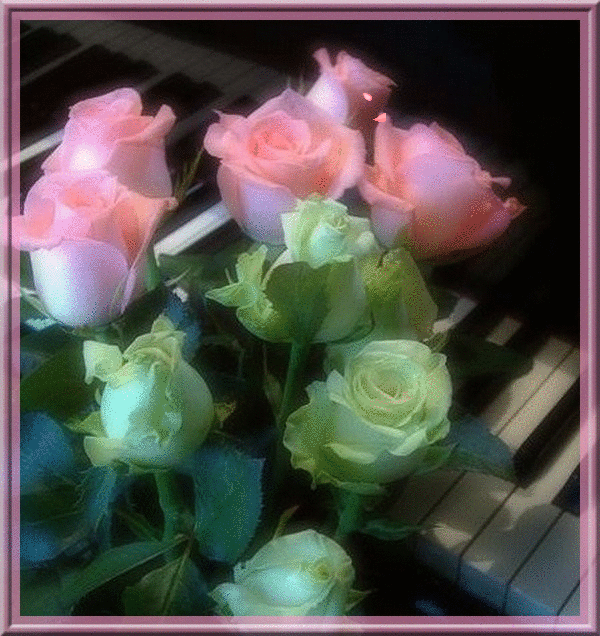 rose sur un piano