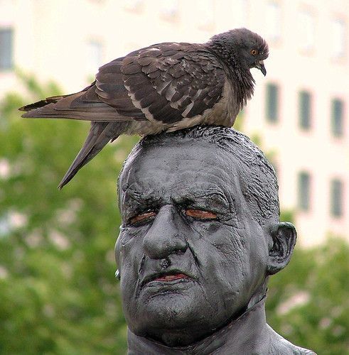 STATUE  PIGEON