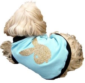 CHIEN COSTUME