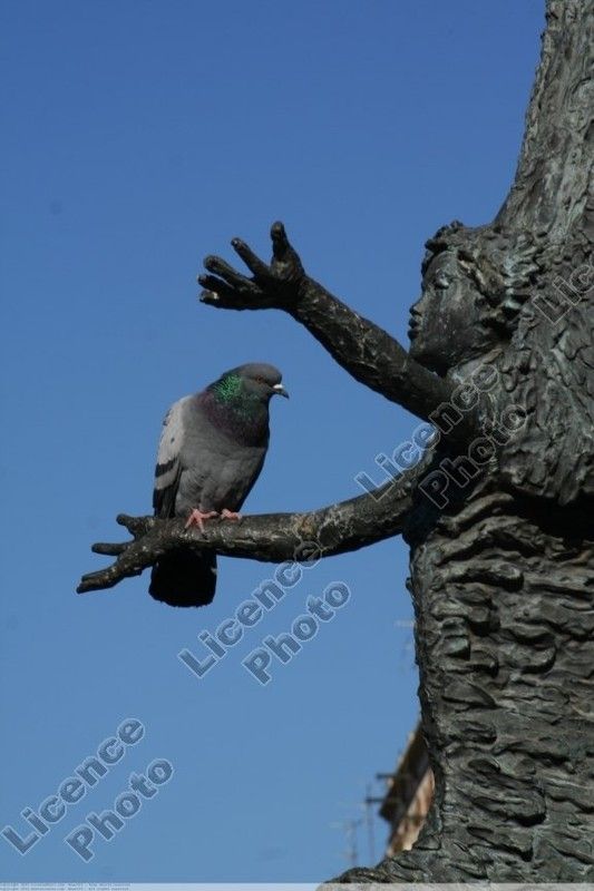 STATUE  PIGEON