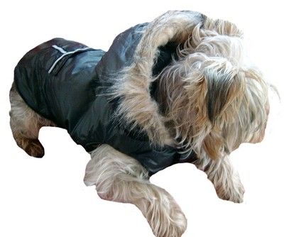 MANTEAU CHIEN