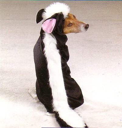 ANIMAUX COSTUME