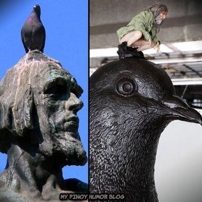 STATUE  PIGEON