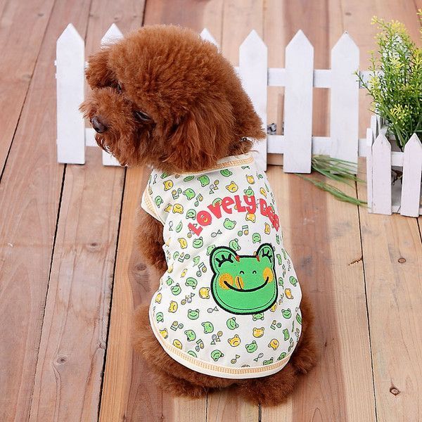 CHIEN COSTUME