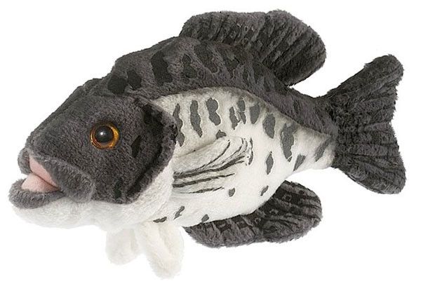 PELUCHE POISSON