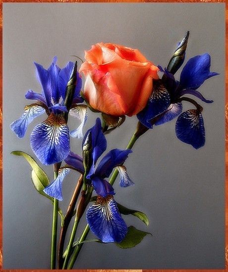 GIF FLEURS 