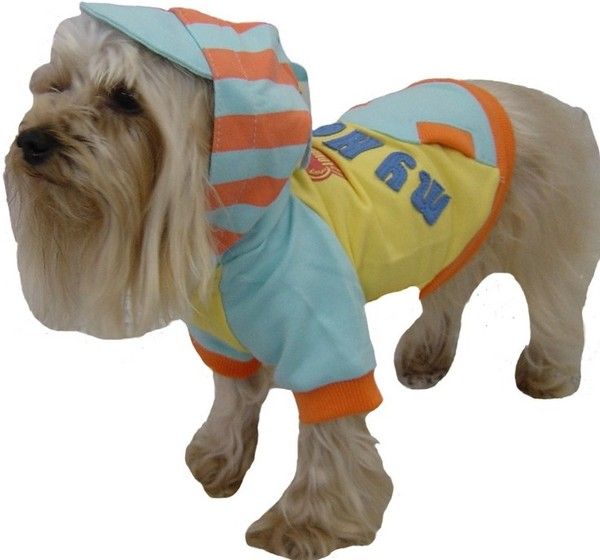 CHIEN COSTUME