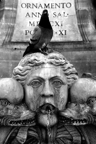 STATUE  PIGEON