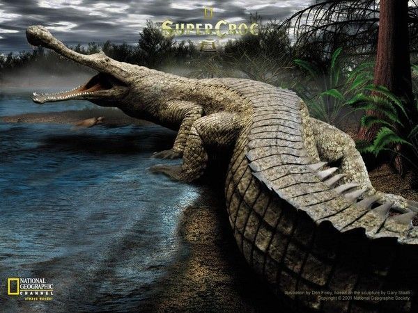 CROCODILE