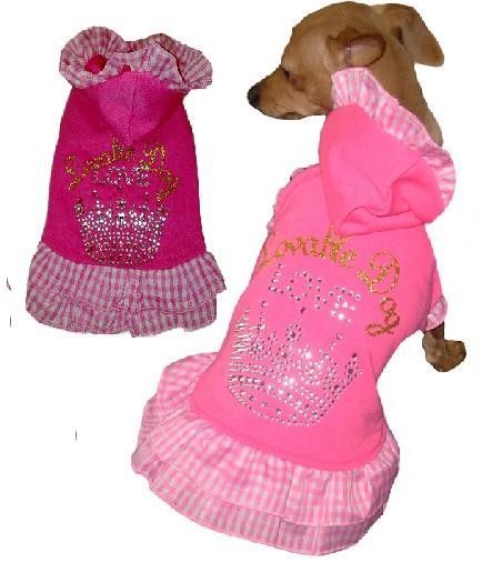 CHIEN COSTUME