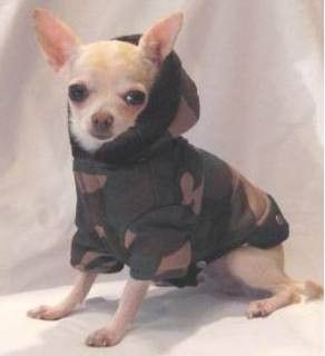 MANTEAU CHIEN