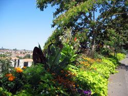 Le concours des Villes et Villages Fleuris 34